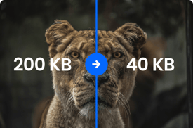 speedkit-top-whatyouget-image-optimization-graphic