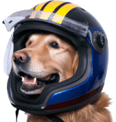 speedkit-top-whyspeedmatter-user-experience-graphic